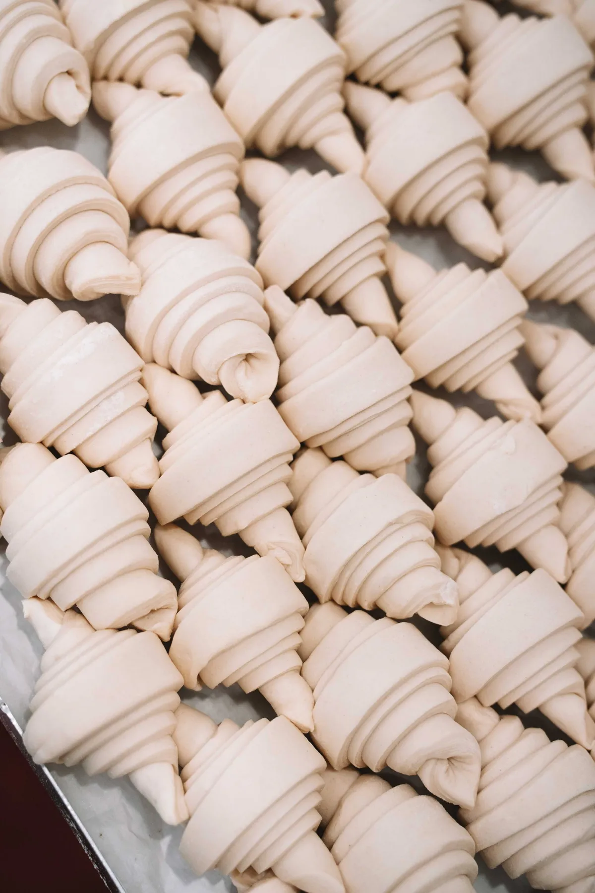 Trays of hand-rolled croissants in Envie French Bakery's croissant room